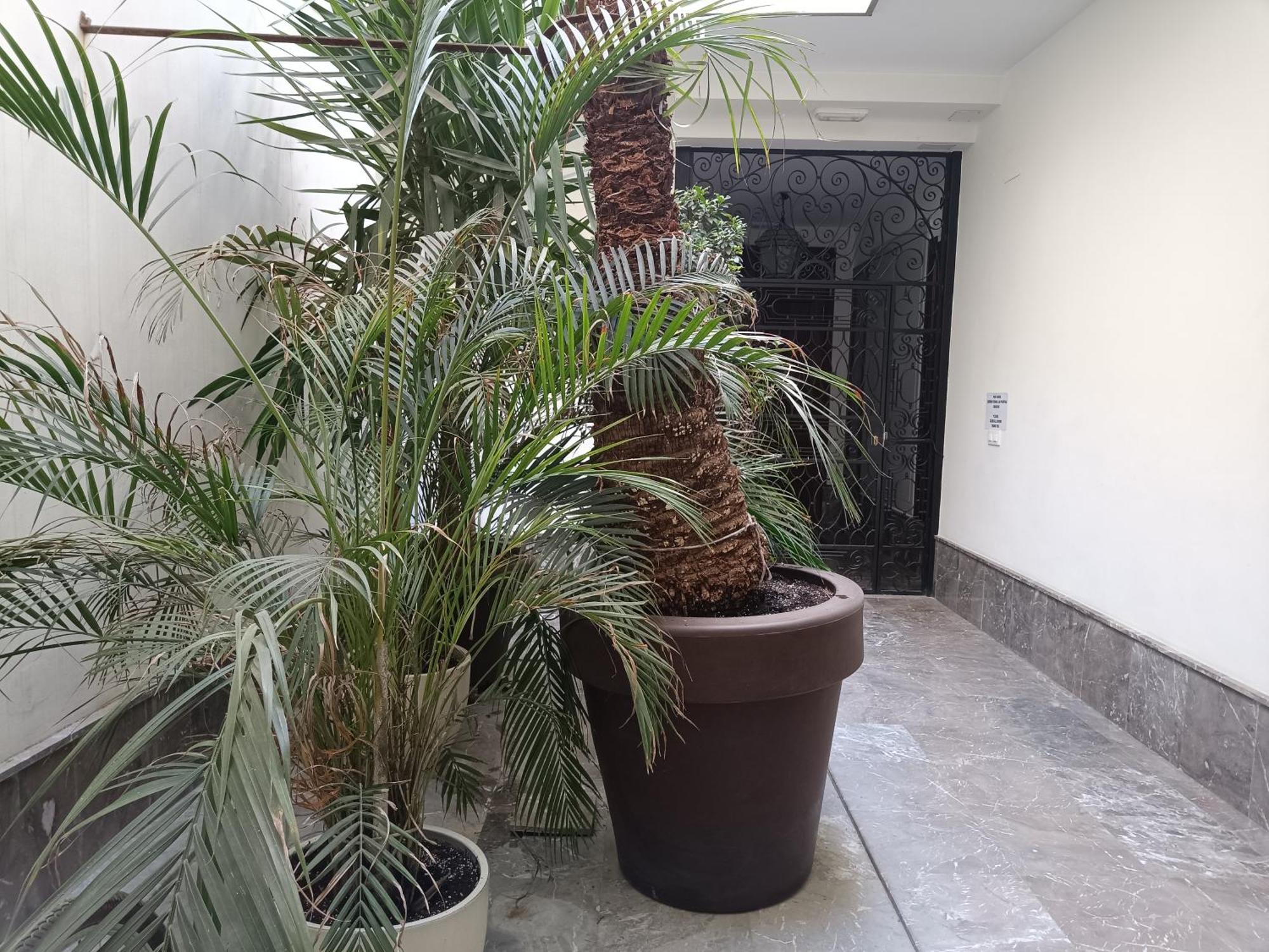 Apartamentos Luxury Puente De Triana Sevilla Exteriér fotografie