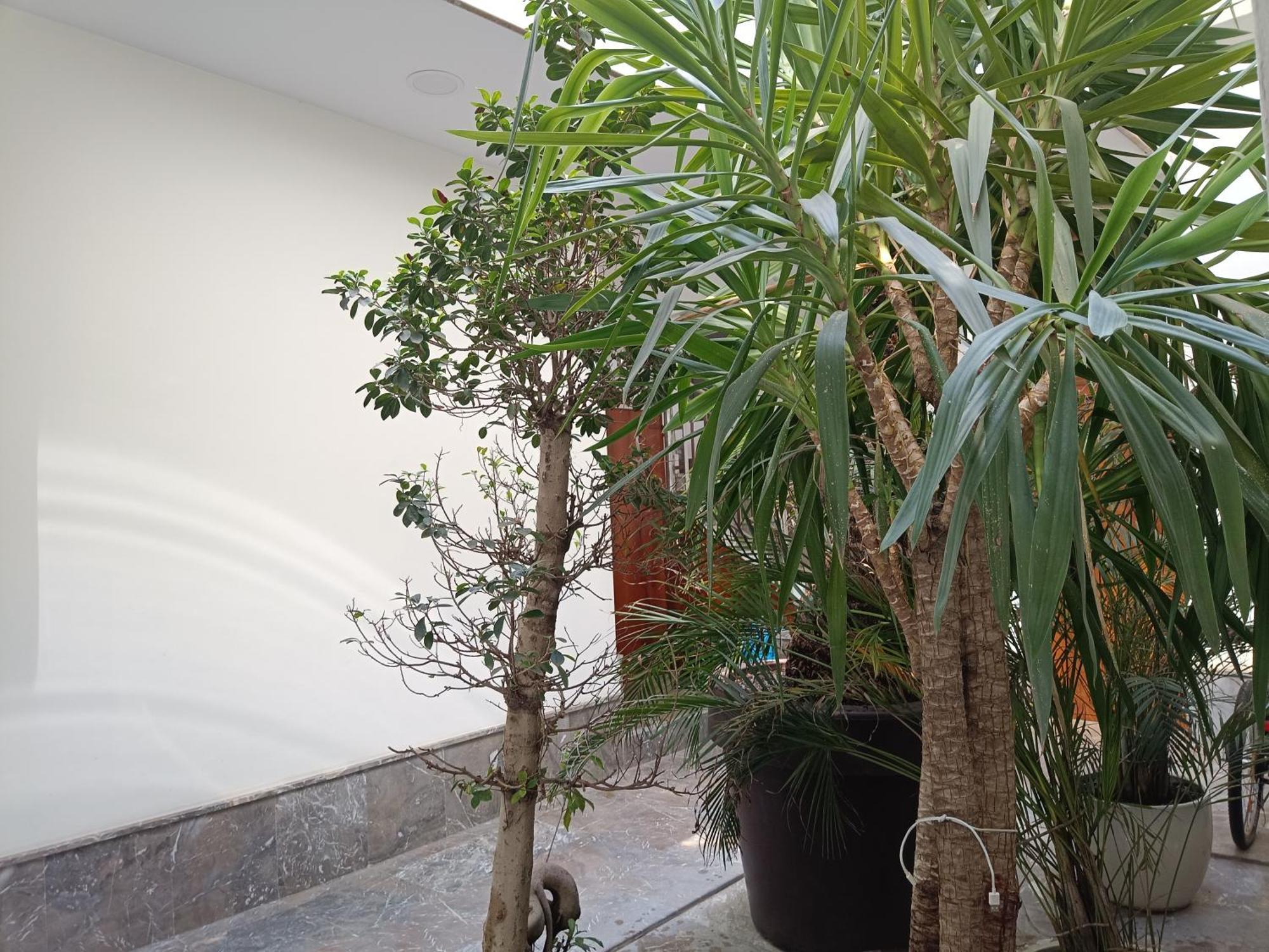 Apartamentos Luxury Puente De Triana Sevilla Exteriér fotografie